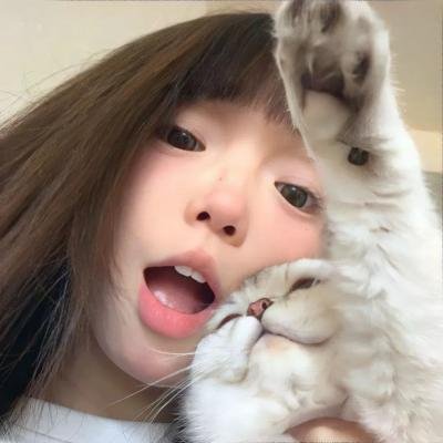 隼鹰